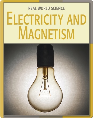 Real World Science: Electricity And Magnetism