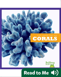 Life Under The Sea: Corals