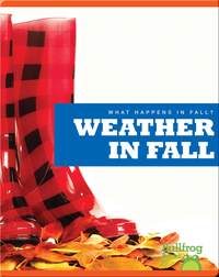 What Happens In Fall? Weather In Fall