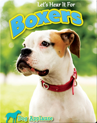 Let's Hear It For Boxers