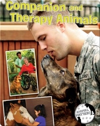 Companion And Therapy Animals