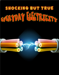 Shocking But True Everyday Electricity