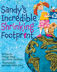 Sandy's Incredible Shrinking Footprint