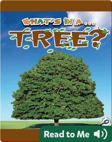 What's In A... Tree?