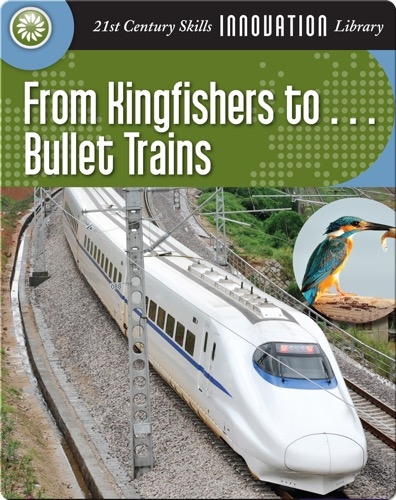 From Kingfishers to... Bullet Trains