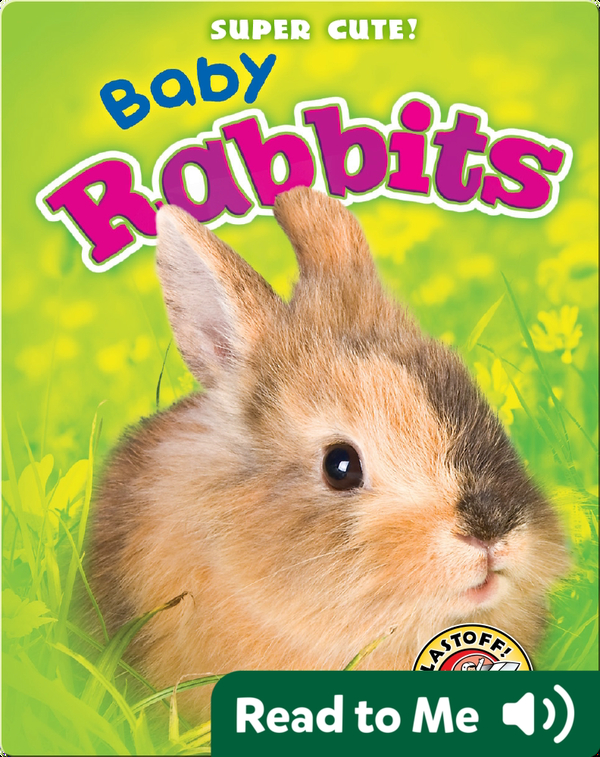 Super Cute! Baby Rabbits