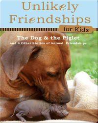 Unlikely Friendships for Kids: The Dog & the Piglet: And Four Other Stories of Animal Friendships