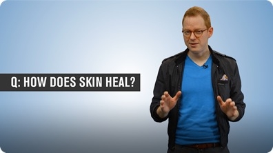 How Does Skin Heal?
