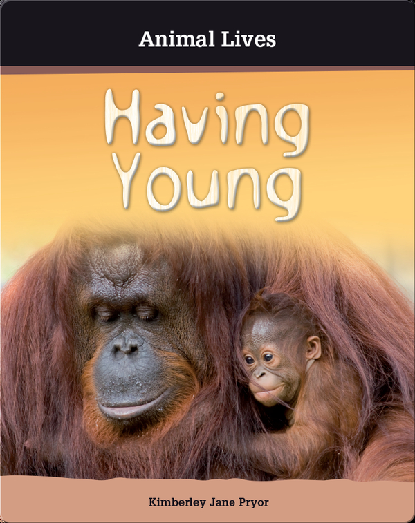 Having Young