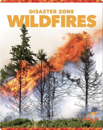Disaster Zone: Wildfires
