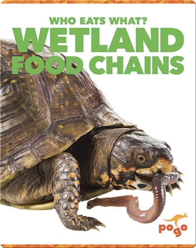 Who Eats What? Wetland Food Chains