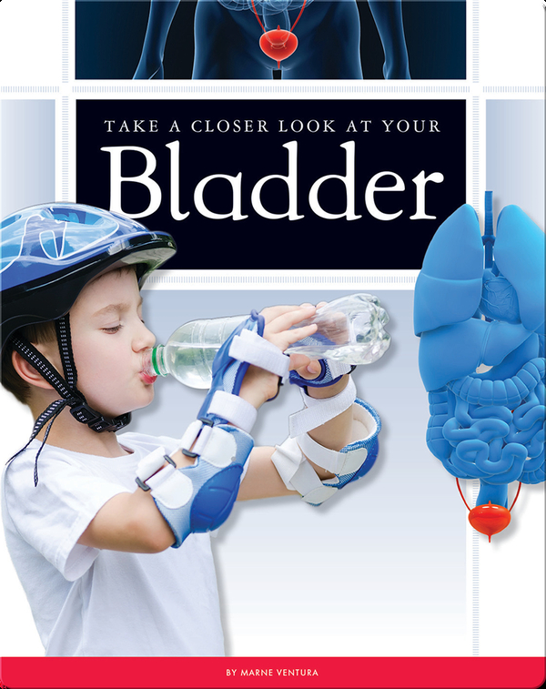 Take a Closer Look at Your Bladder