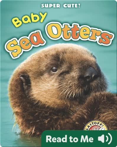 Super Cute! Baby Sea Otters