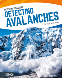 Detecting Avalanches