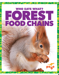 Who Eats What? Forest Food Chains