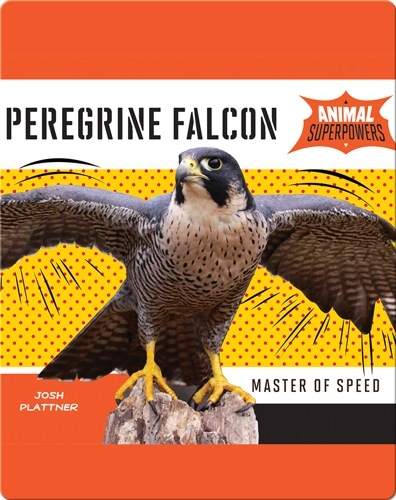 Peregrine Falcon: Master of Speed