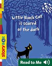 Little Black Cat is Scared of the Dark