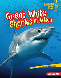 Great White Sharks in Action