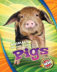 Animals on the Farm: Pigs