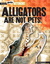 Alligators Are Not Pets!
