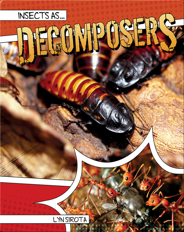 Insects as Decomposers