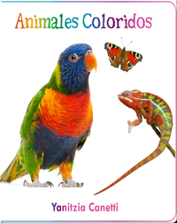 Animales coloridos