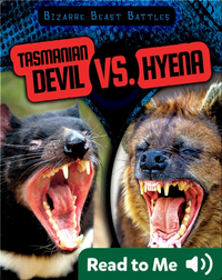 Tasmanian Devil vs. Hyena
