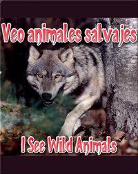 Veo Animales Salvajes  (I See Wild Animals)
