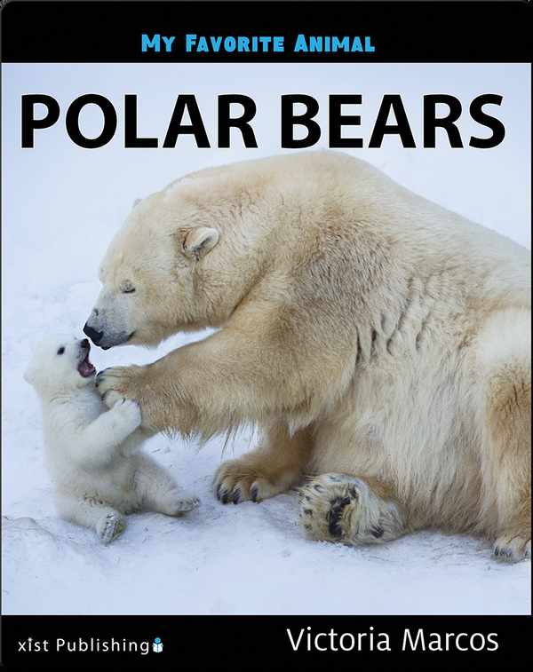 My Favorite Animal: Polar Bears