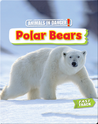 Animals in Danger: Polar Bears