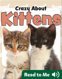 Crazy About Kittens