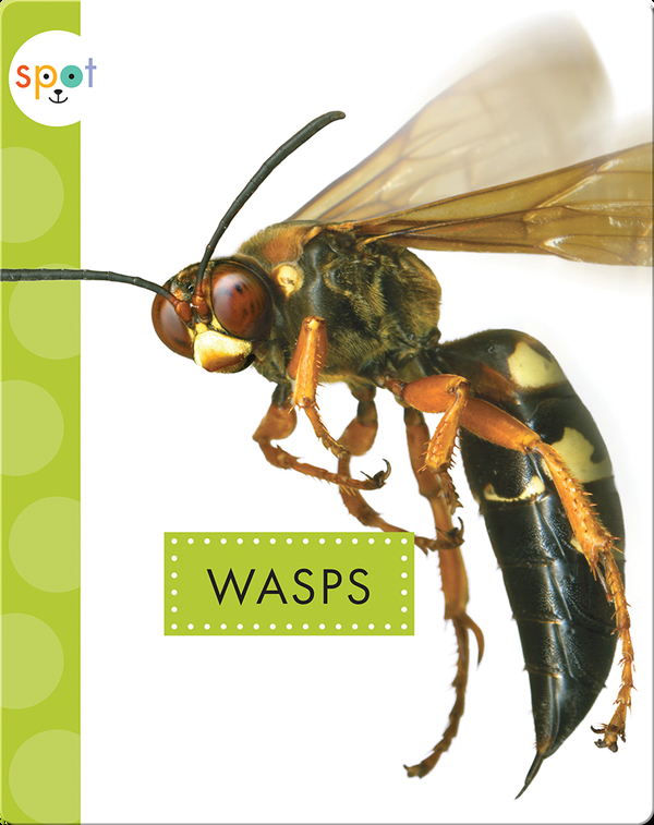 Creepy Crawlies: Wasps