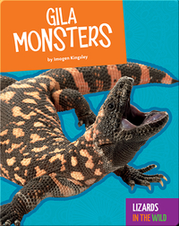 Lizards in the Wild: Gila Monsters