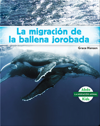 La migración de la ballena jorobada