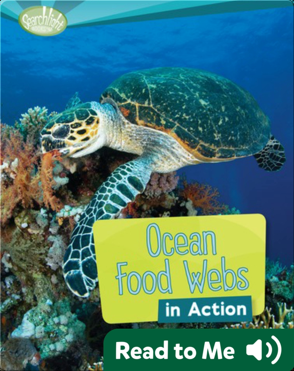 Ocean Food Webs in Action