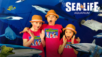Kids Animal Adventure - Behind the Scenes at the Sea Life Aquarium!