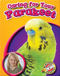 Caring for Your Parakeet: Pet Care Library