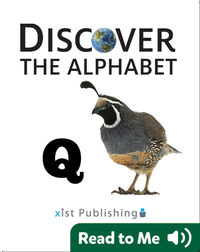 Discover The Alphabet: Q