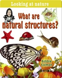 What are Natural Structures?