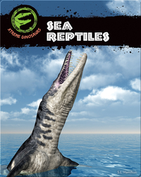 Sea Reptiles