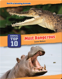 Top Ten Most Dangerous Animals