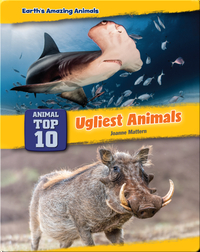 Top Ten Ugliest Animals