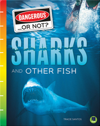 Dangerous...or Not?: Sharks and Other Fish