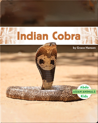 Asian Animals: Indian Cobra