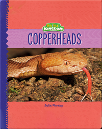 Animal Kingdom: Copperheads