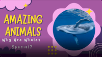 Adventure Family Journal: Let's Learn About Whales