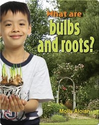 What Are Bulbs And Roots?