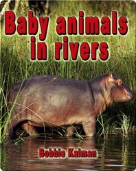 Baby Animals in Rivers