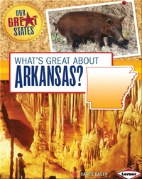 What's Great about Arkansas?