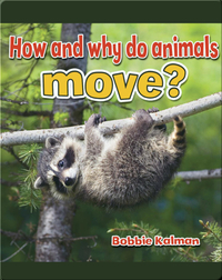 How and Why do Animals Move?